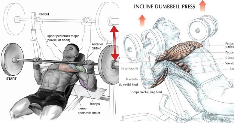 inclined chest press